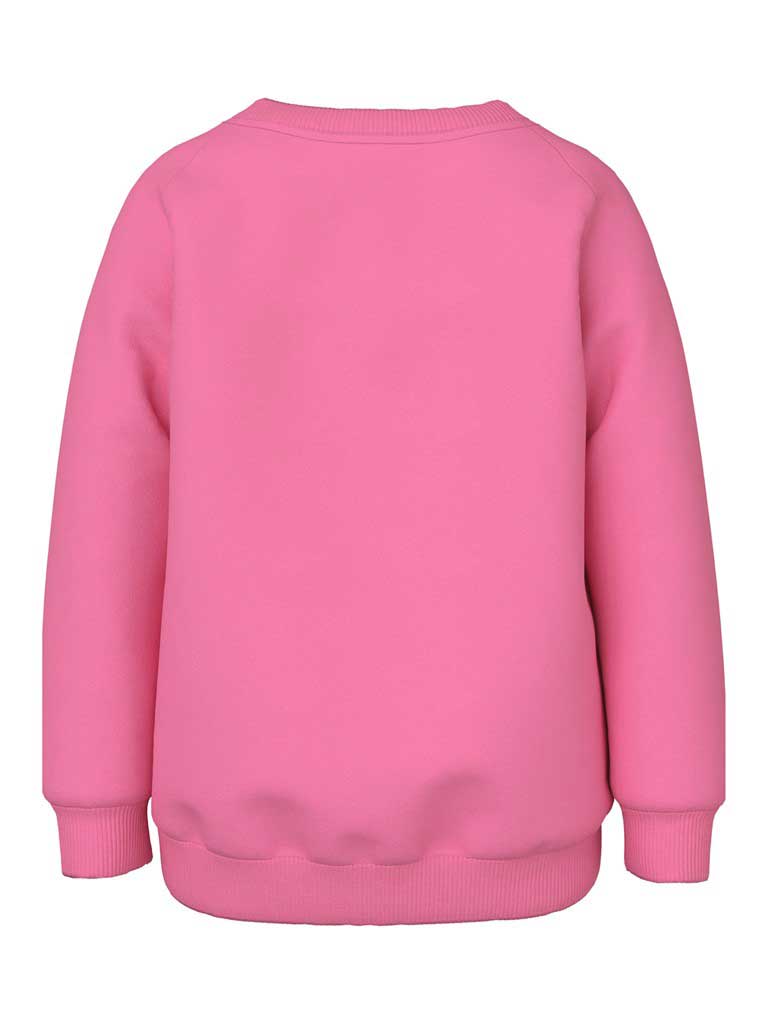 NAME IT Блуза NMFVENUS LS SWEAT BRU O1