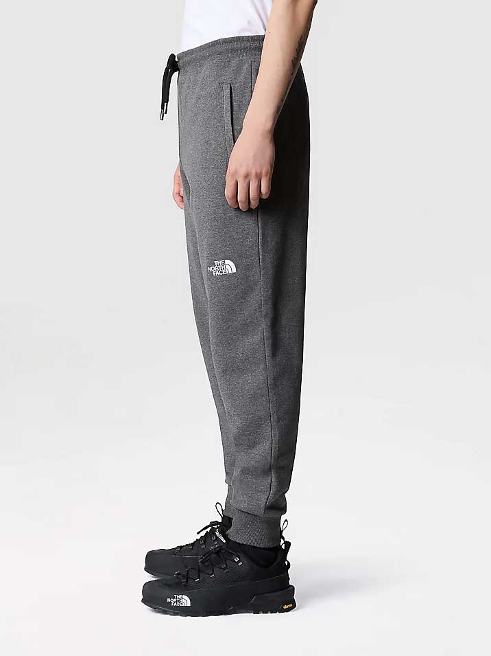 THE NORTH FACE Спортно долнище M NSE LIGHT PANT