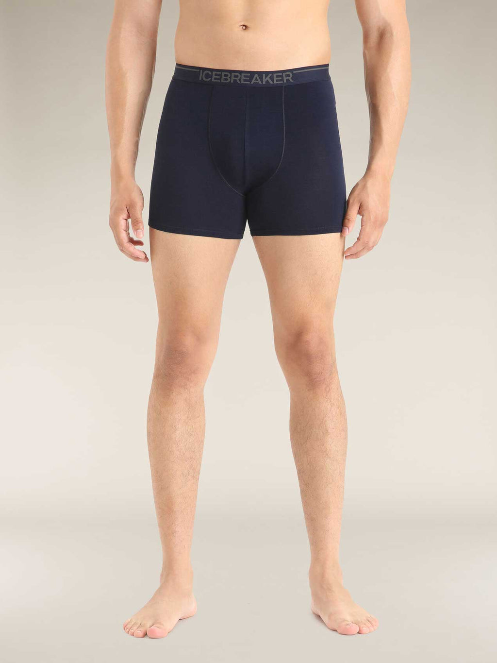 ICEBREAKER Боксерки M Anatomica