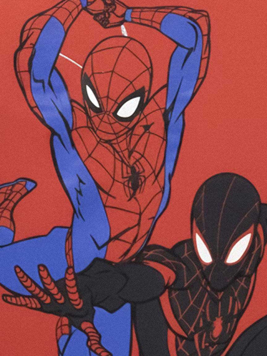 CERDA Комплект 2 части SPIDERMAN