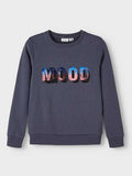 NAME IT Блуза NKFNAMAGIC LS SWEAT BRU