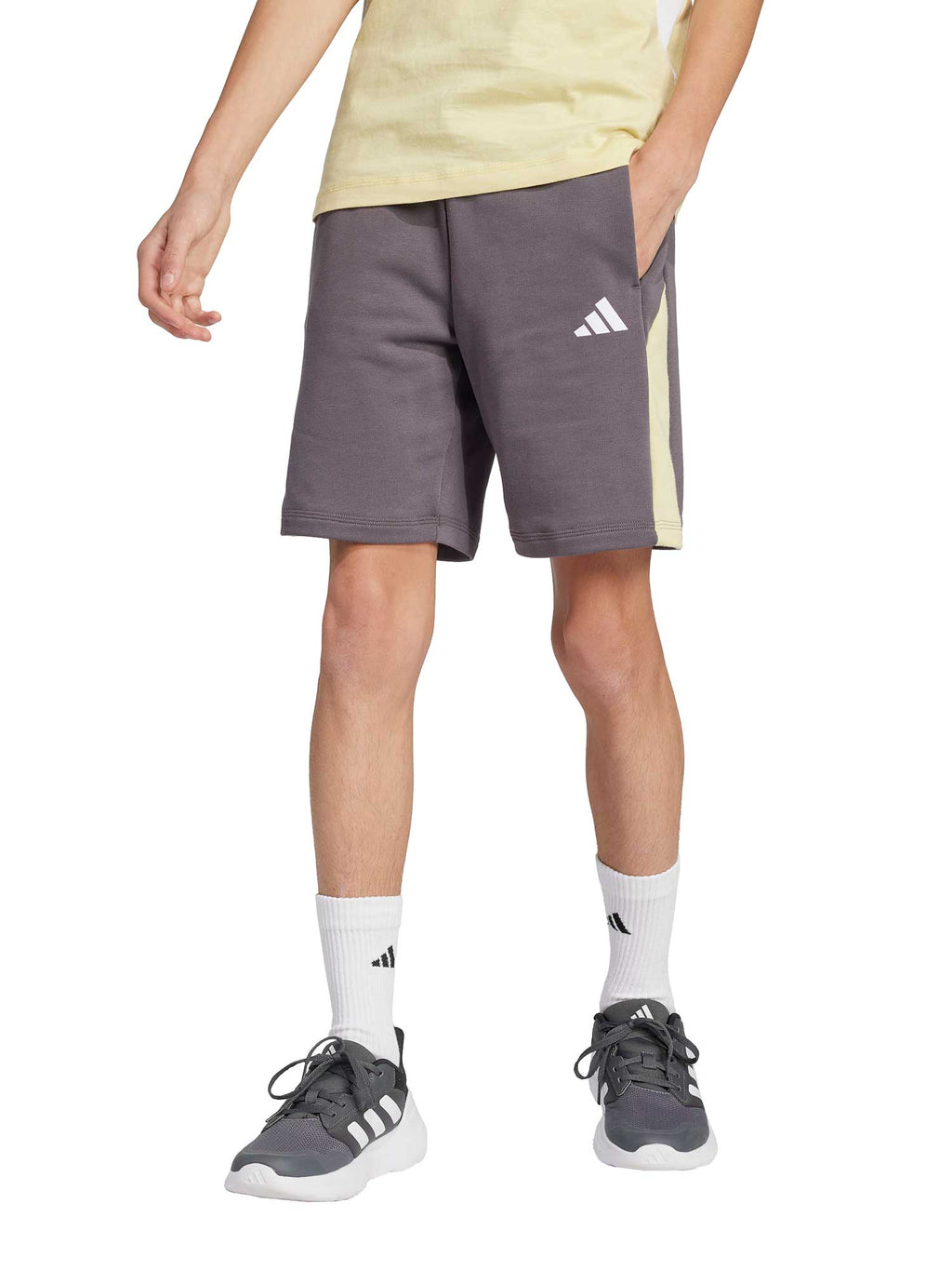 ADIDAS SPORTSWEAR Къси панталони Seasonal Essentials Colorblock