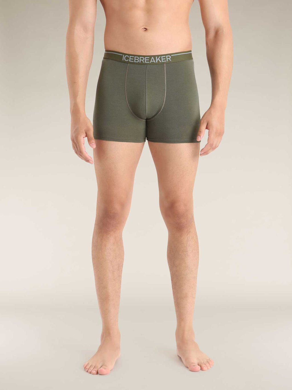 ICEBREAKER Бельо Men Anatomica Boxers