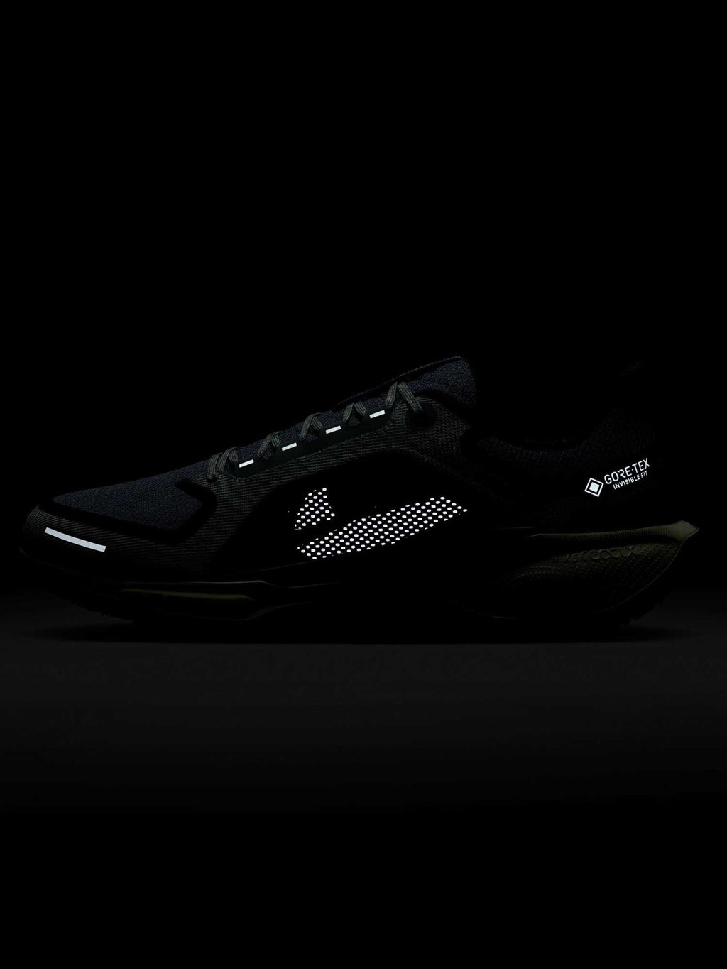 NIKE Обувки AIR ZM PEGASUS 41 GTX