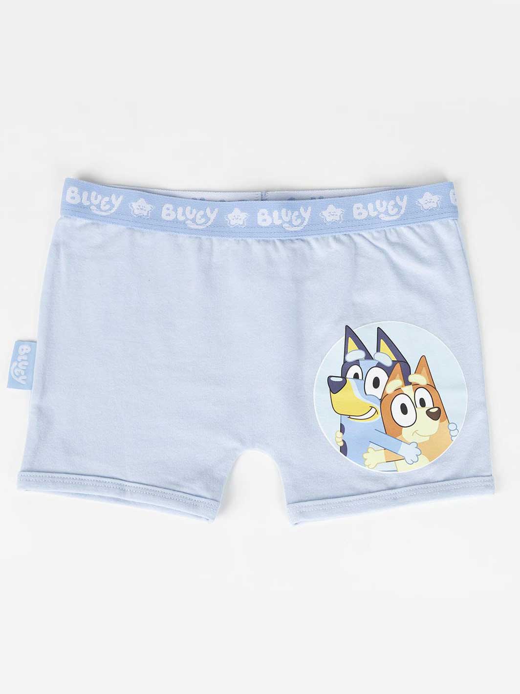 CERDA Бельо BLUEY