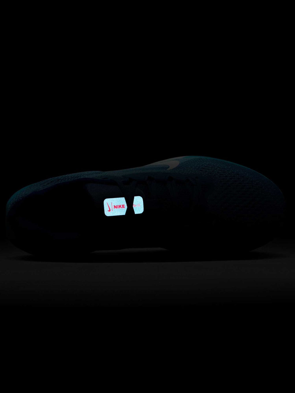 NIKE Обувки AIR WINFLO 11