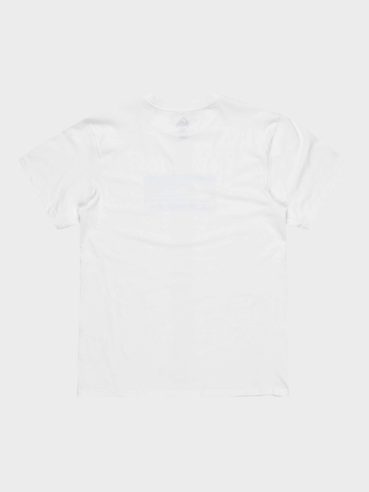 QUIKSILVER Тениска EV GRADIENT BOX SS