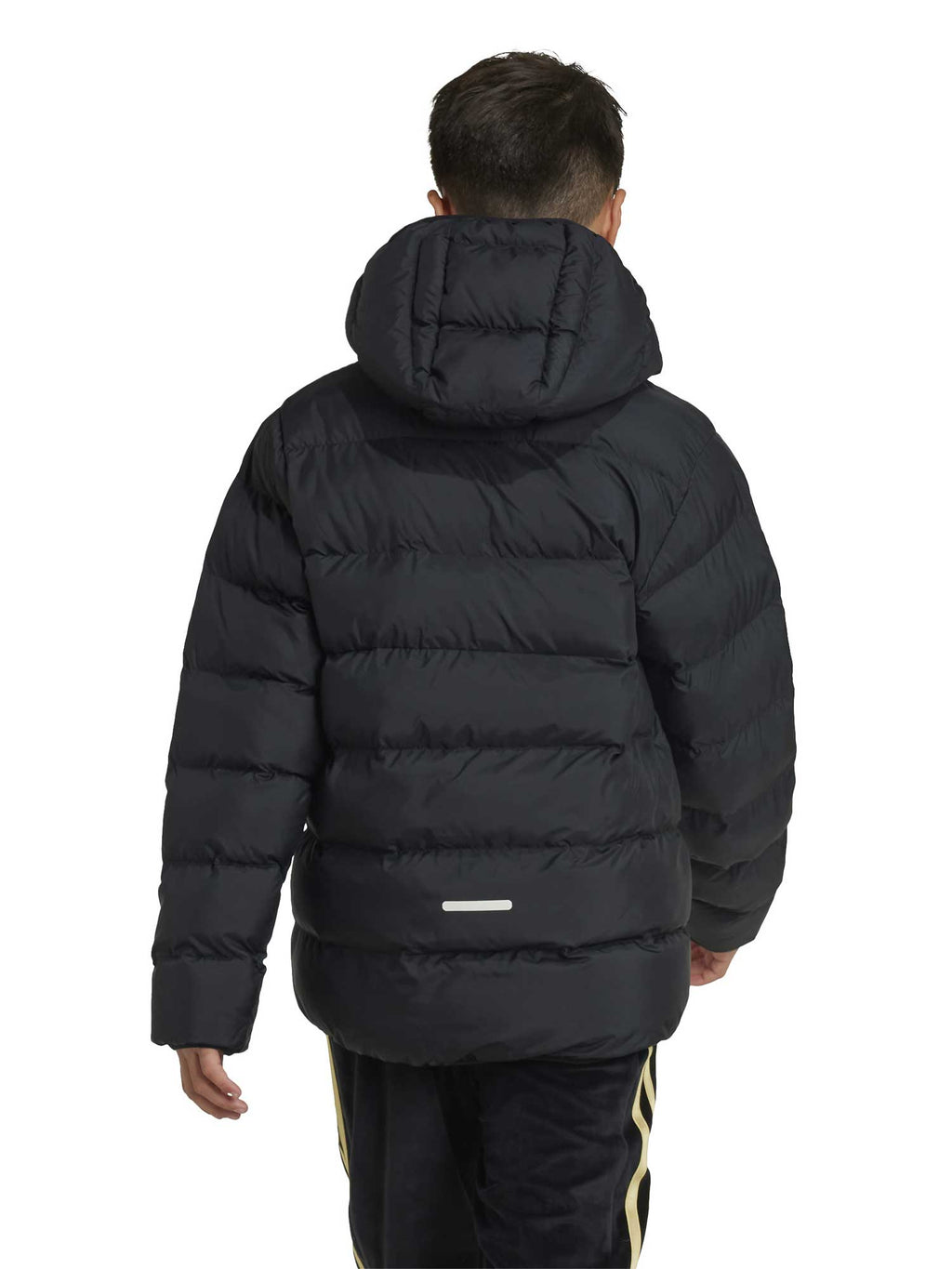 ADIDAS SPORTSWEAR Яке Synthetic Down Jacket