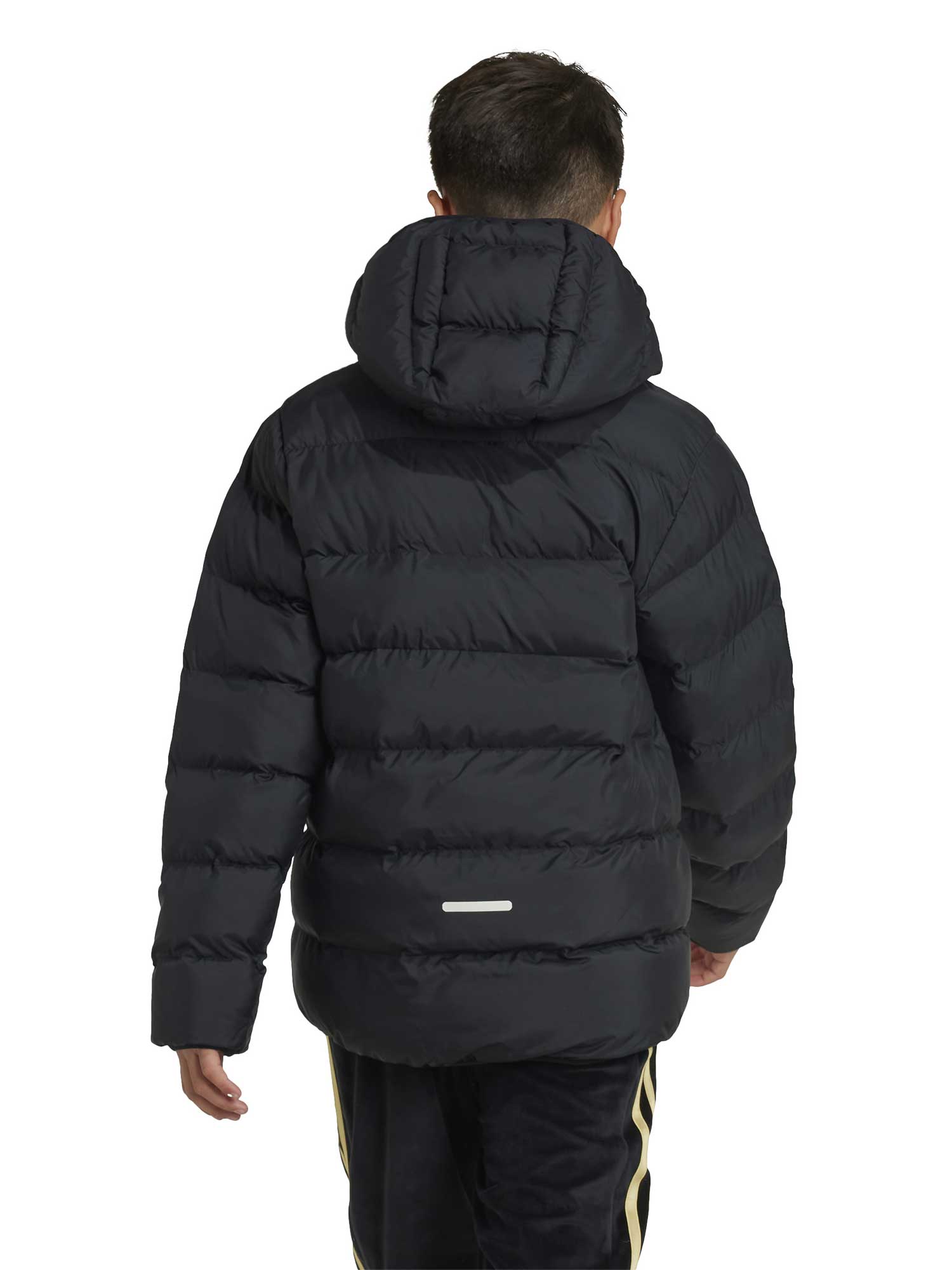 ADIDAS SPORTSWEAR Яке Synthetic Down Jacket