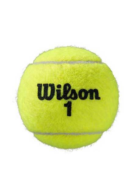 WILSON Тенис топки ROLAND GARROS ALL CT x4