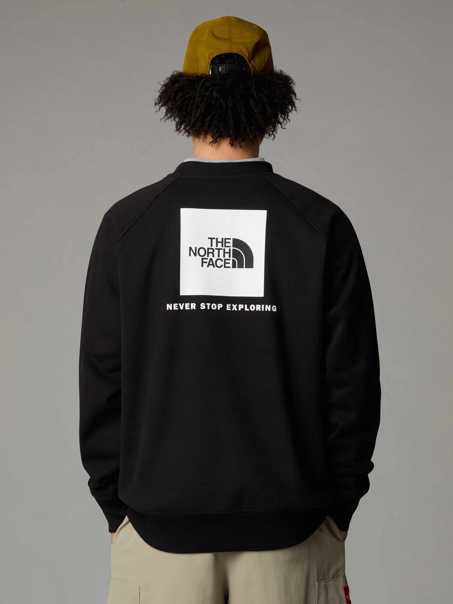 THE NORTH FACE Блуза M RAGLAN BOX NSE REGULAR CREW