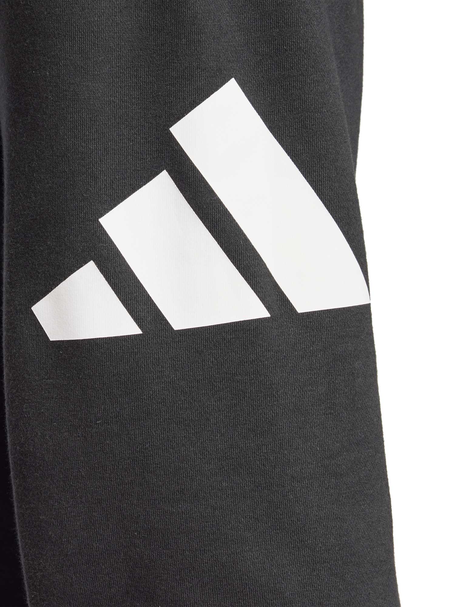 ADIDAS SPORTSWEAR Спортно долнище Essentials Big Logo French Terry