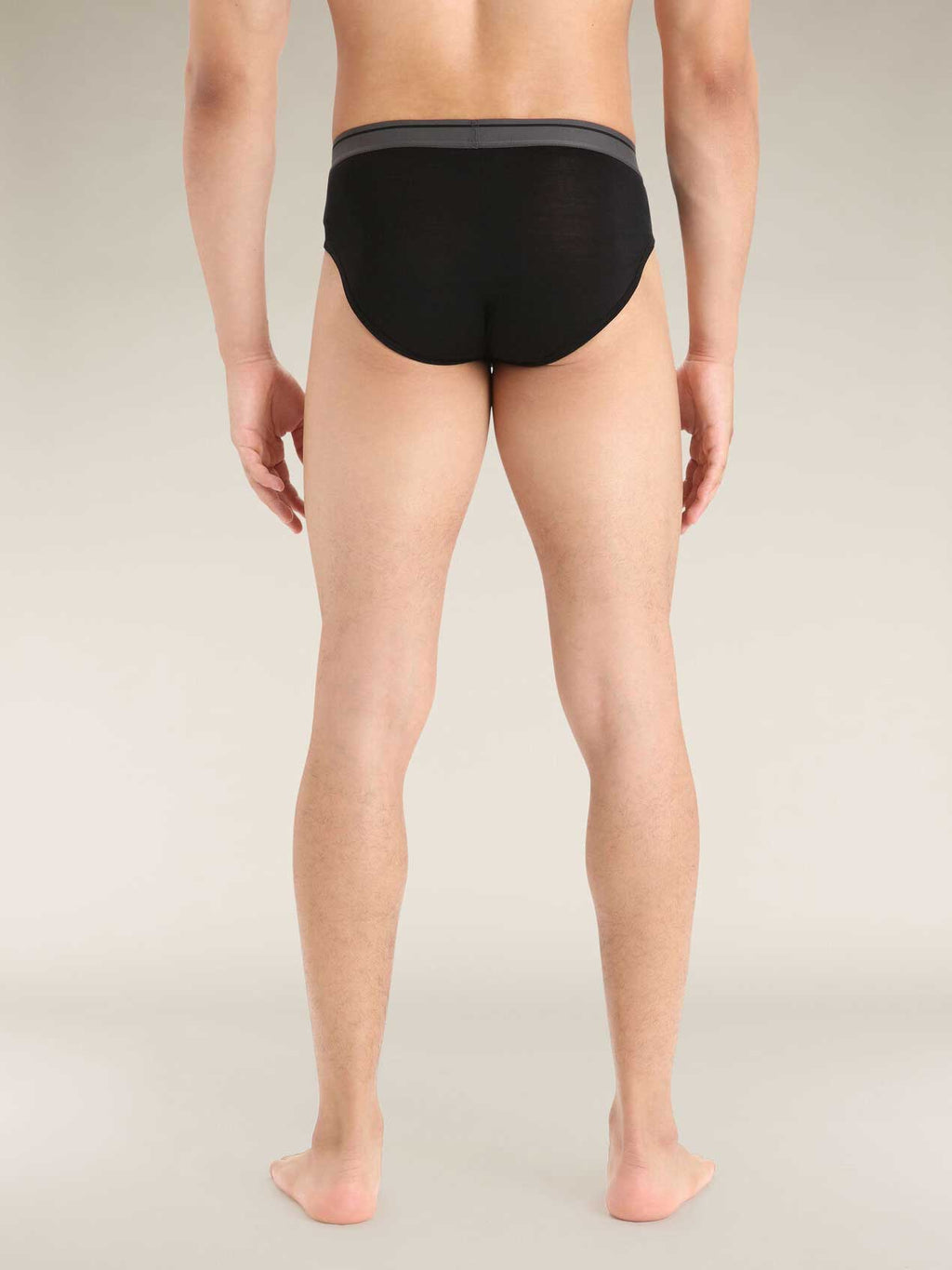 ICEBREAKER Бельо M Anatomica Briefs