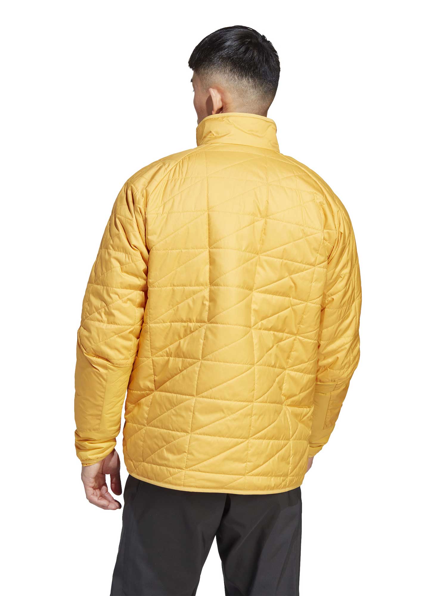 ADIDAS PERFORMANCE Яке Terrex Multi Insulation