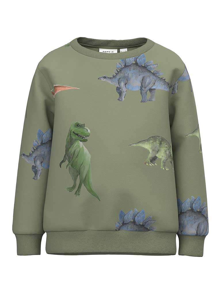NAME IT Блуза NMMNODINO SWEAT BRU