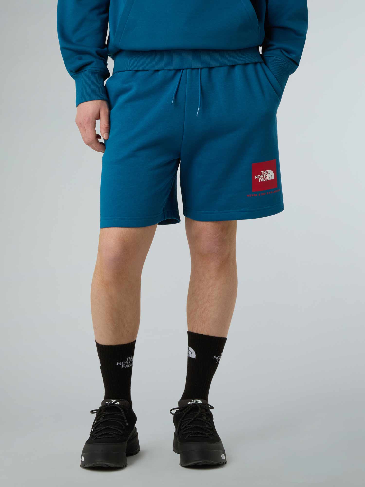 THE NORTH FACE Къси панталони M BOX NSE REGULAR SHORT