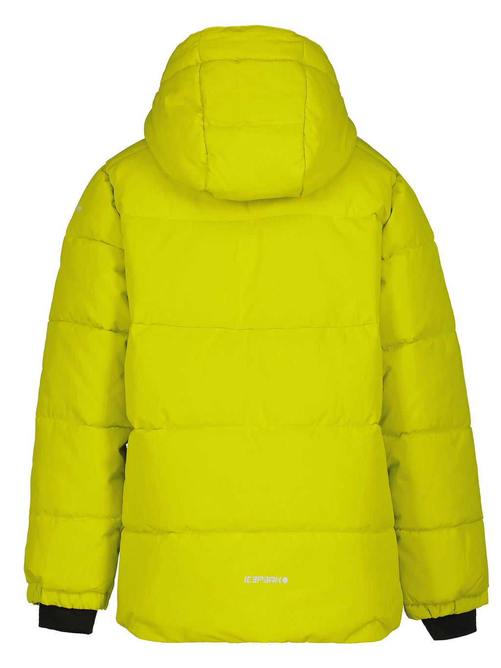 ICEPEAK Яке LOUIN JR