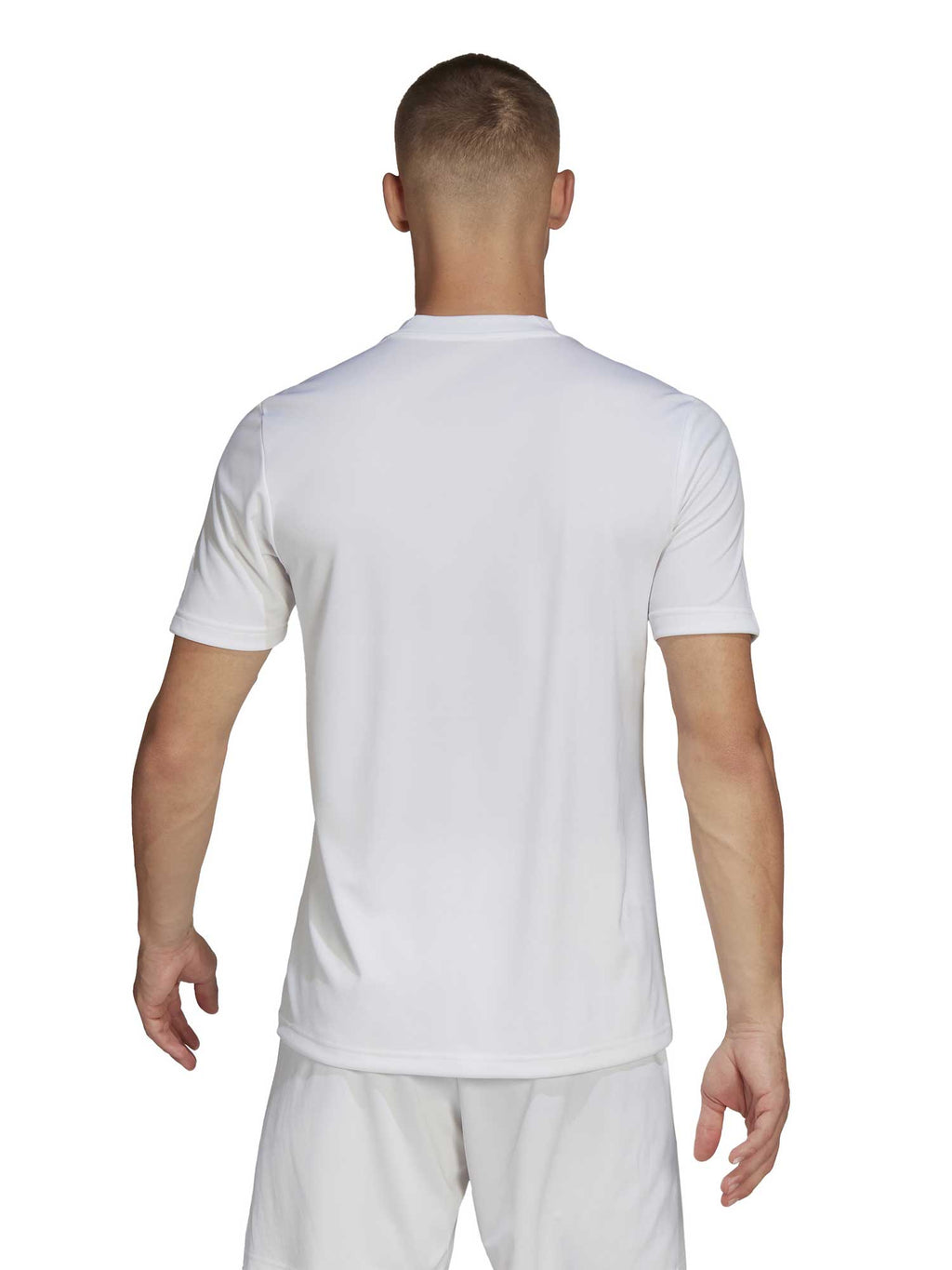 ADIDAS PERFORMANCE Тениска Entrada 22 Graphic Jersey