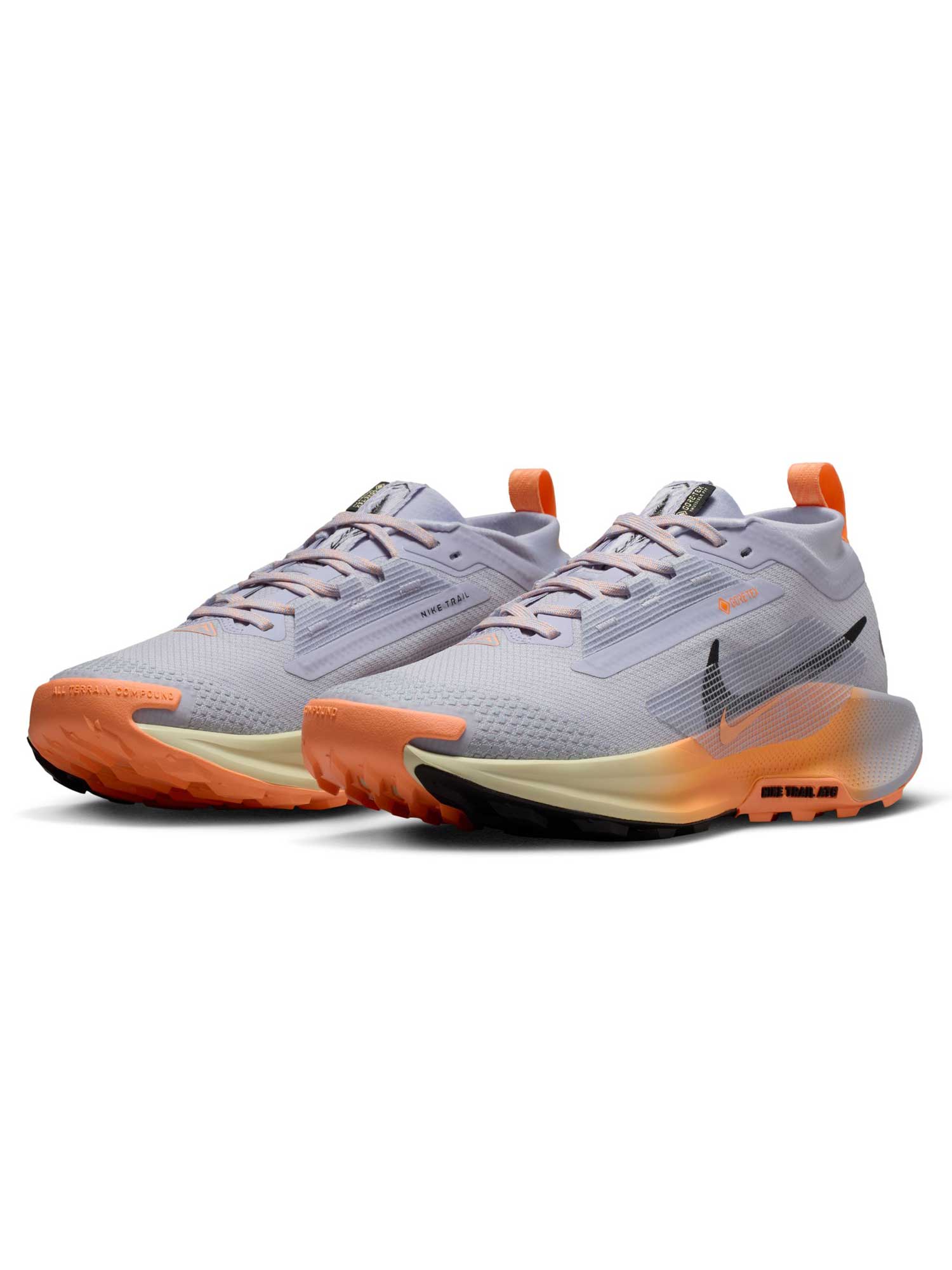 NIKE Обувки W PEGASUS TRAIL 5 GTX