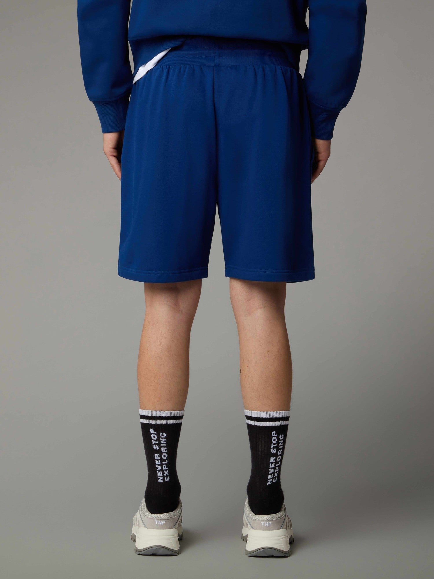 THE NORTH FACE Къси панталони M BOX NSE REGULAR SHORT