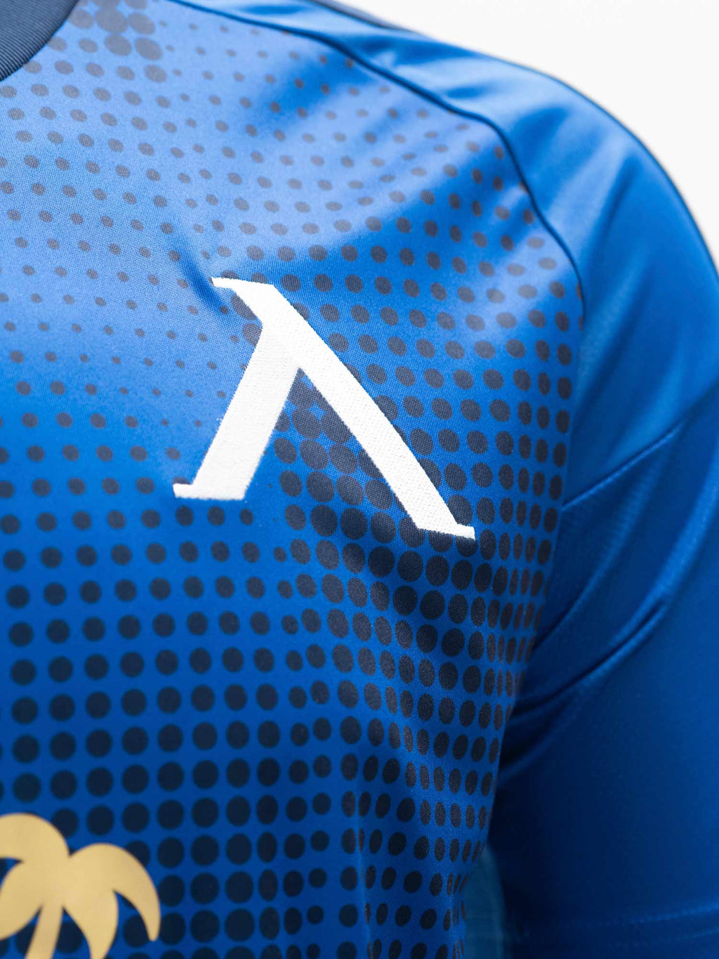 LEVSKI Levski Home Blue Jersey 25/26