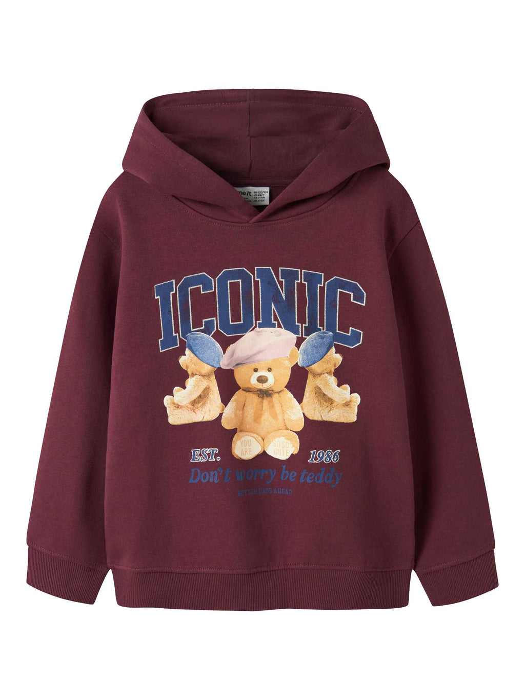 NAME IT Суитшърт NKFRYCCA LS NREG SWEAT WH BRU BOX