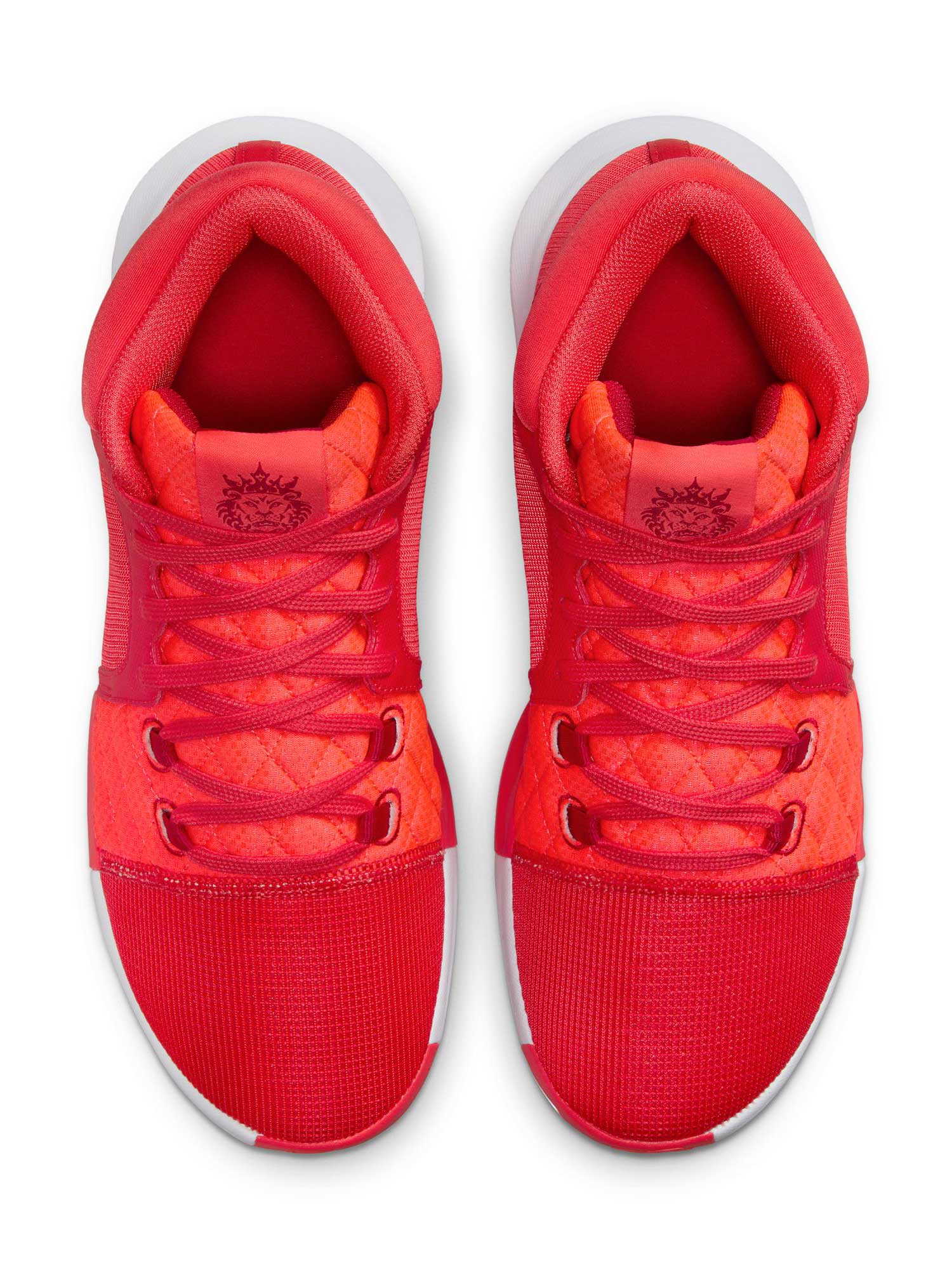 NIKE Обувки LEBRON WITNESS VIII