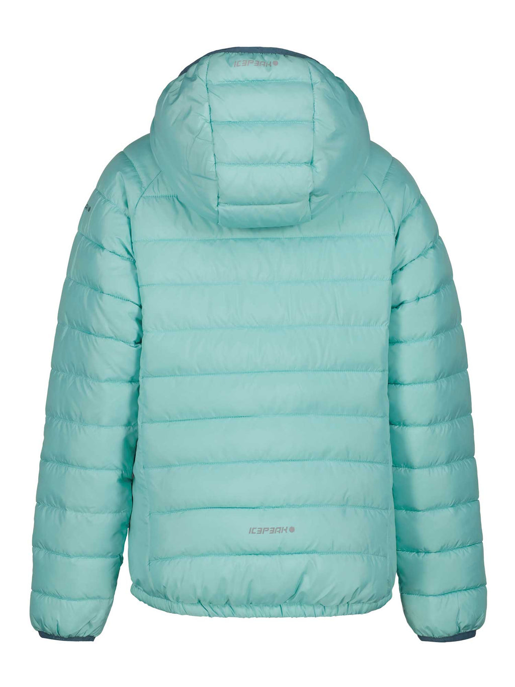ICEPEAK Яке KENYON JR