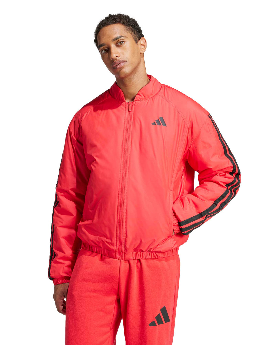 ADIDAS SPORTSWEAR Яке Essentials 3-Stripes Insulated Bomber
