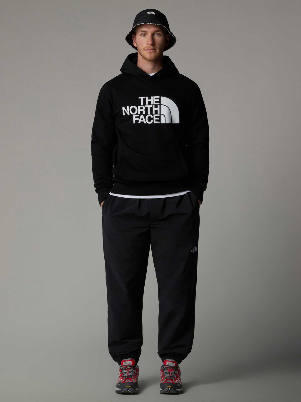 THE NORTH FACE Суитшърт M HALF DOME PULLOVER HOODIE - EU