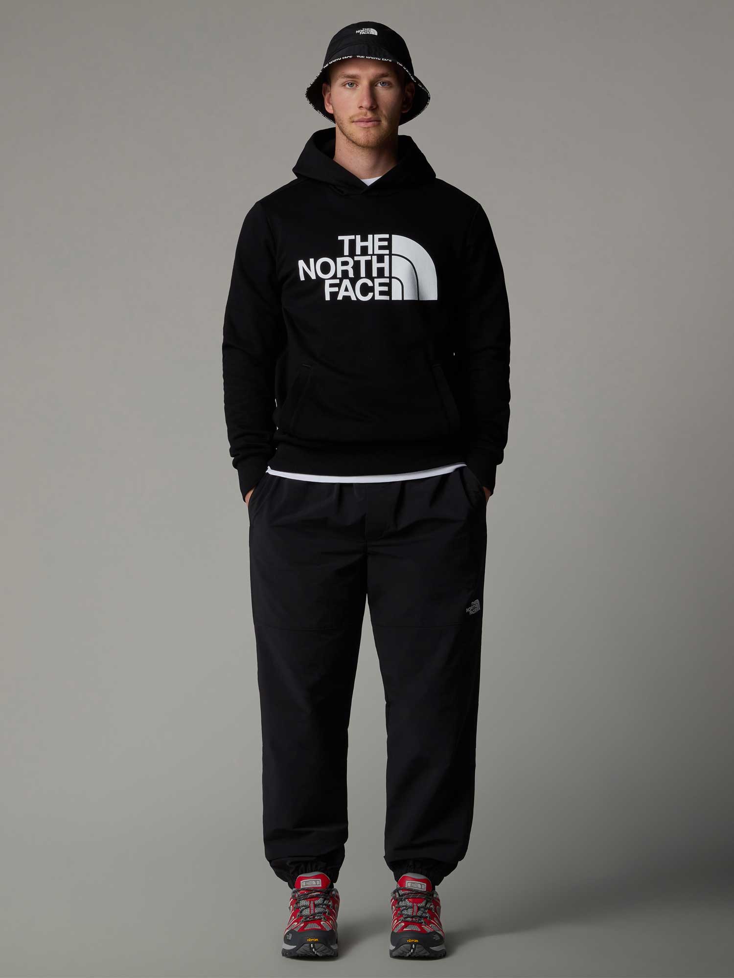 THE NORTH FACE Суитшърт M HALF DOME PULLOVER HOODIE - EU