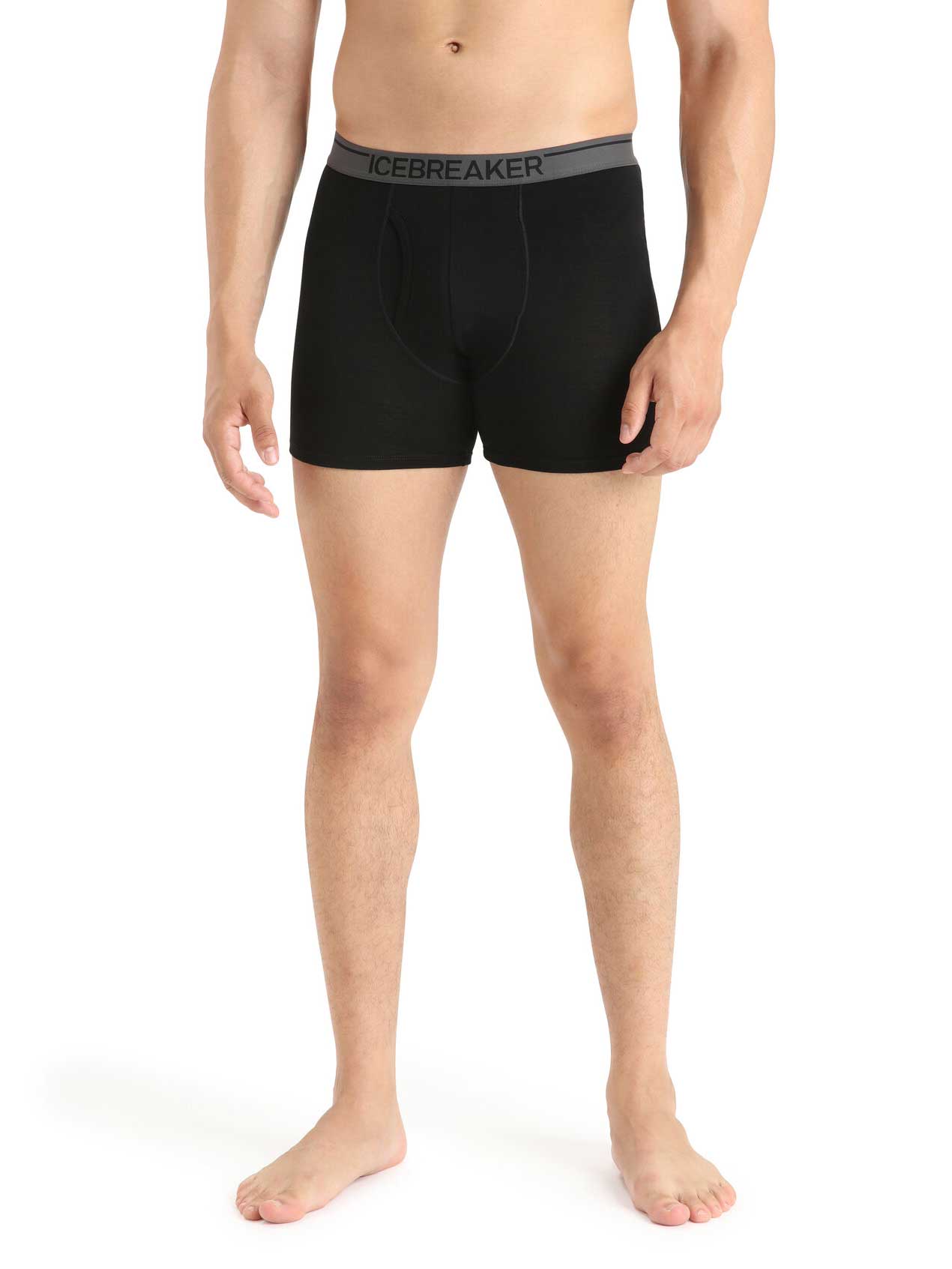 ICEBREAKER Бельо M Anatomica Boxers wFly