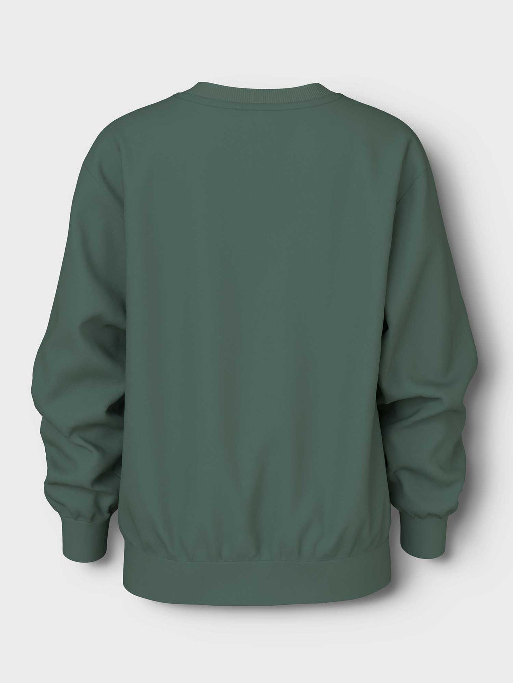 NAME IT Блуза NKMVILDAR LS NREG SWEAT BRU