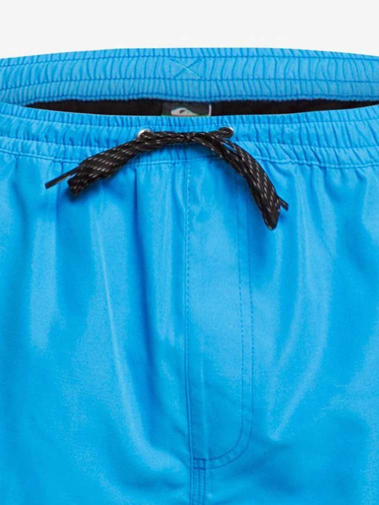 QUIKSILVER Плувни шорти EVDAYVL15 M JAMV