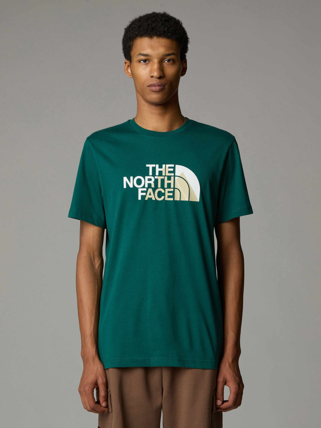 THE NORTH FACE Тениска M BINER 1 TEE