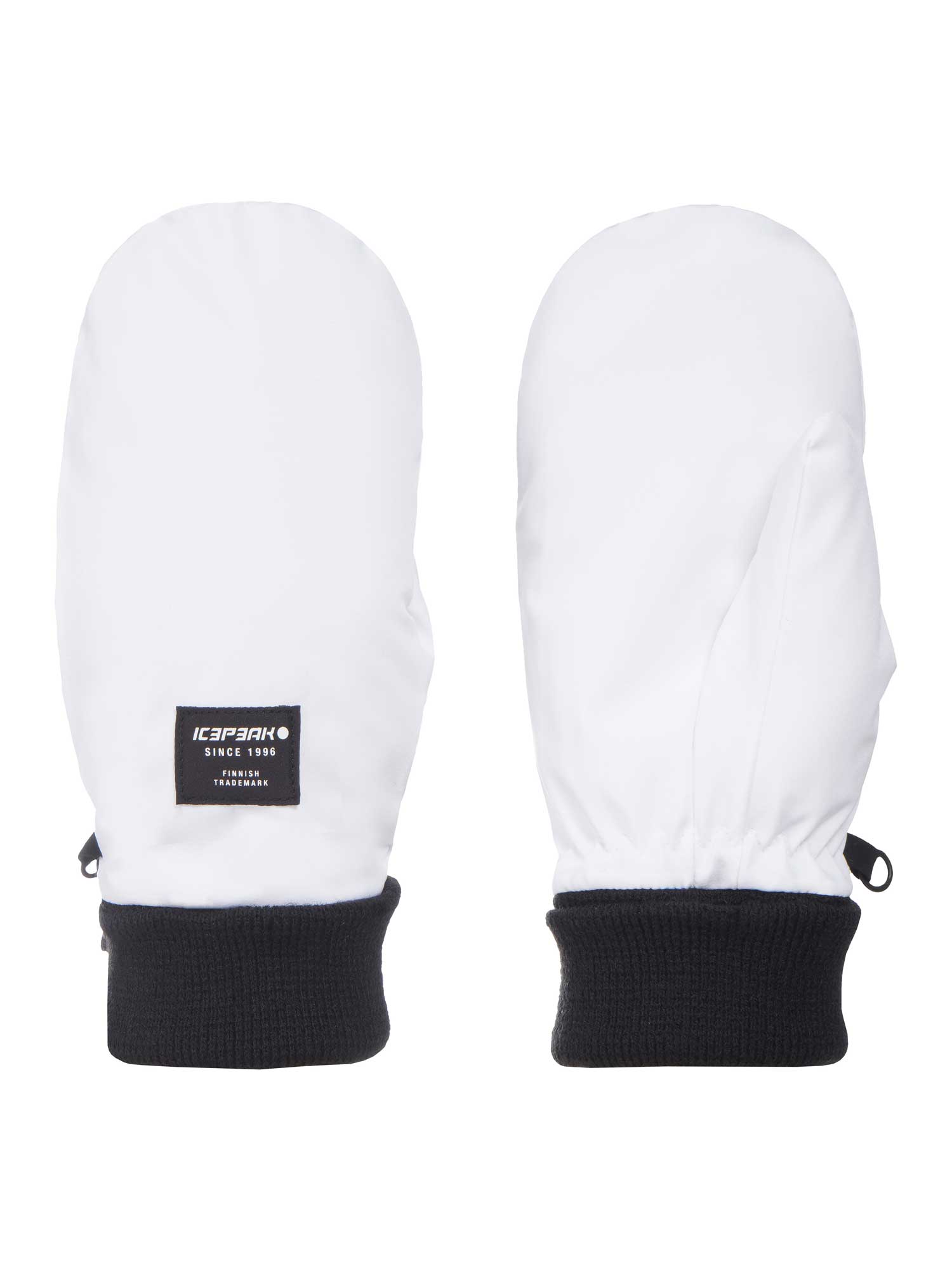 ICEPEAK Ски ръкавици HAYINGEN
