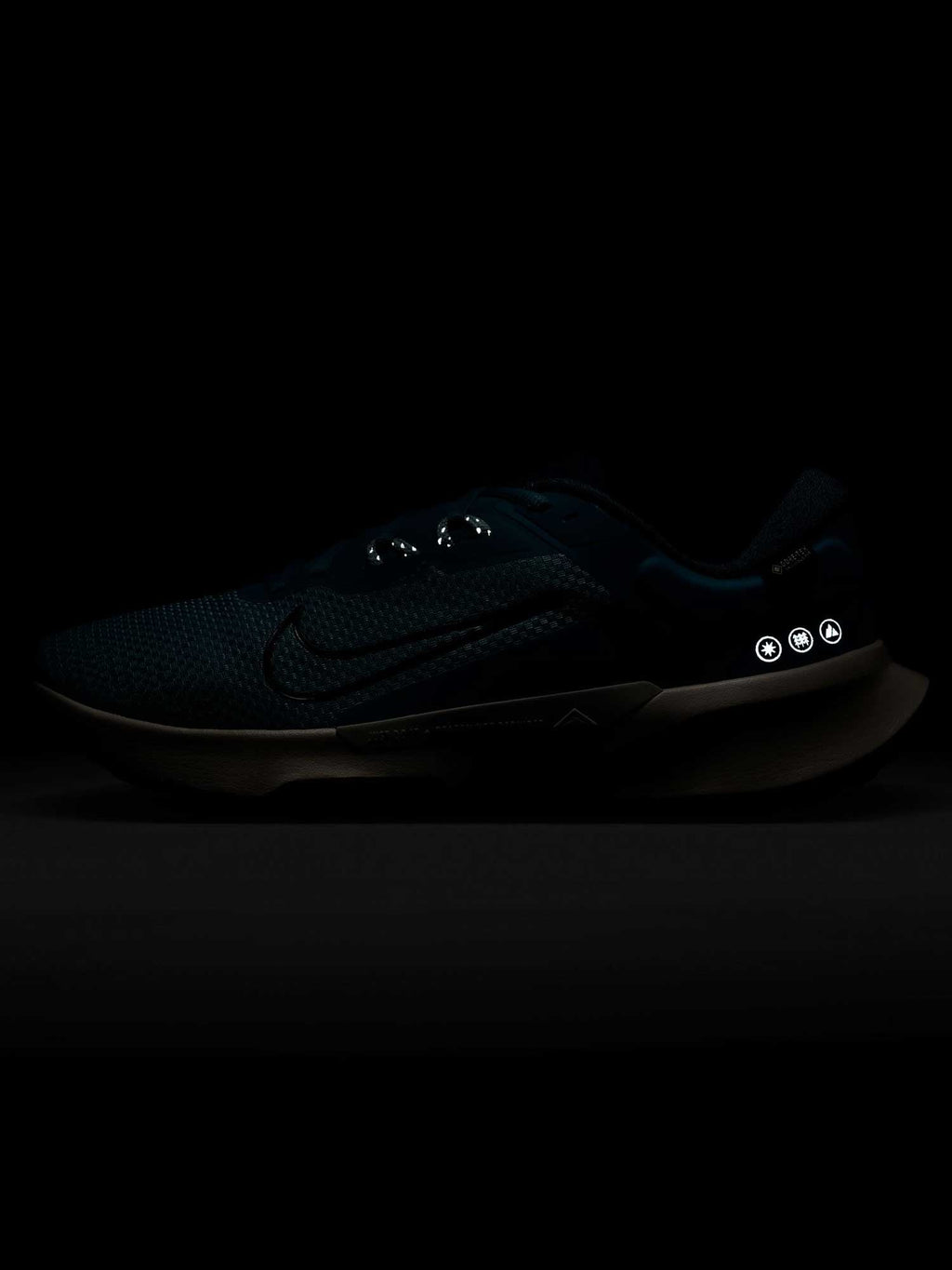 NIKE Обувки JUNIPER TRAIL 2 GTX V2