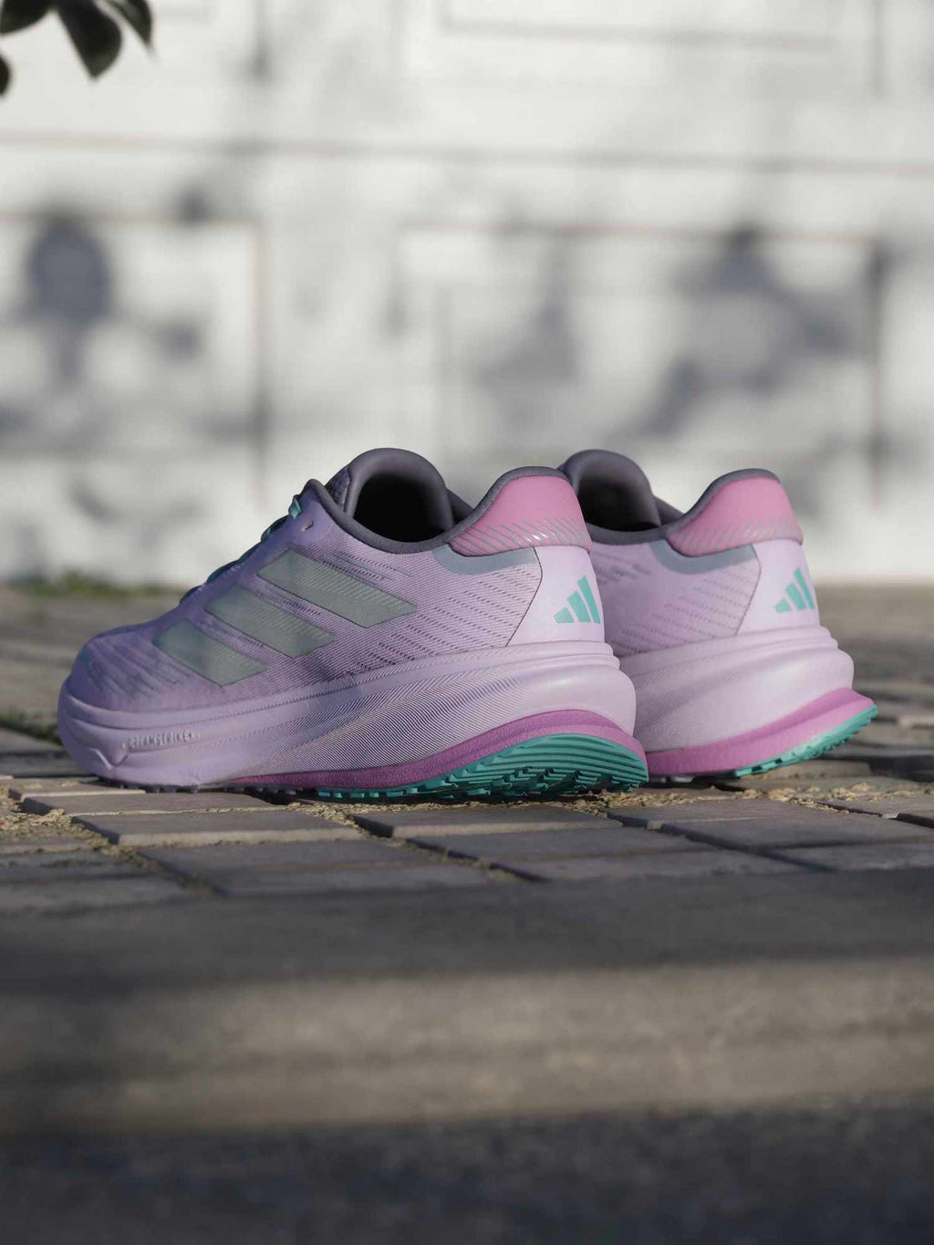 ADIDAS PERFORMANCE Обувки Supernova Rise GTX Running