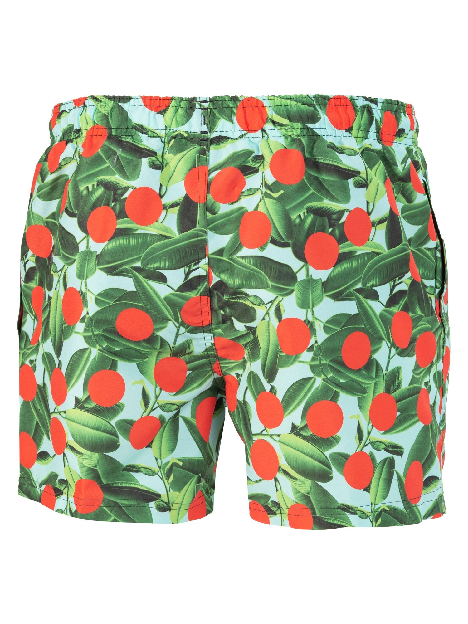 SPEEDO Плувни шорти DIGI PRINT LEIS 14 WSHT AM