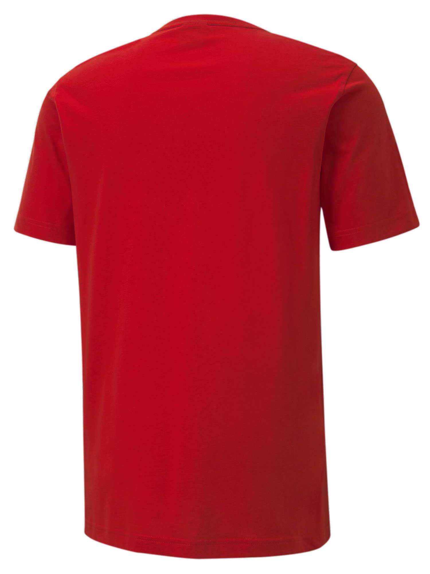 PUMA Тениска teamGOAL 23