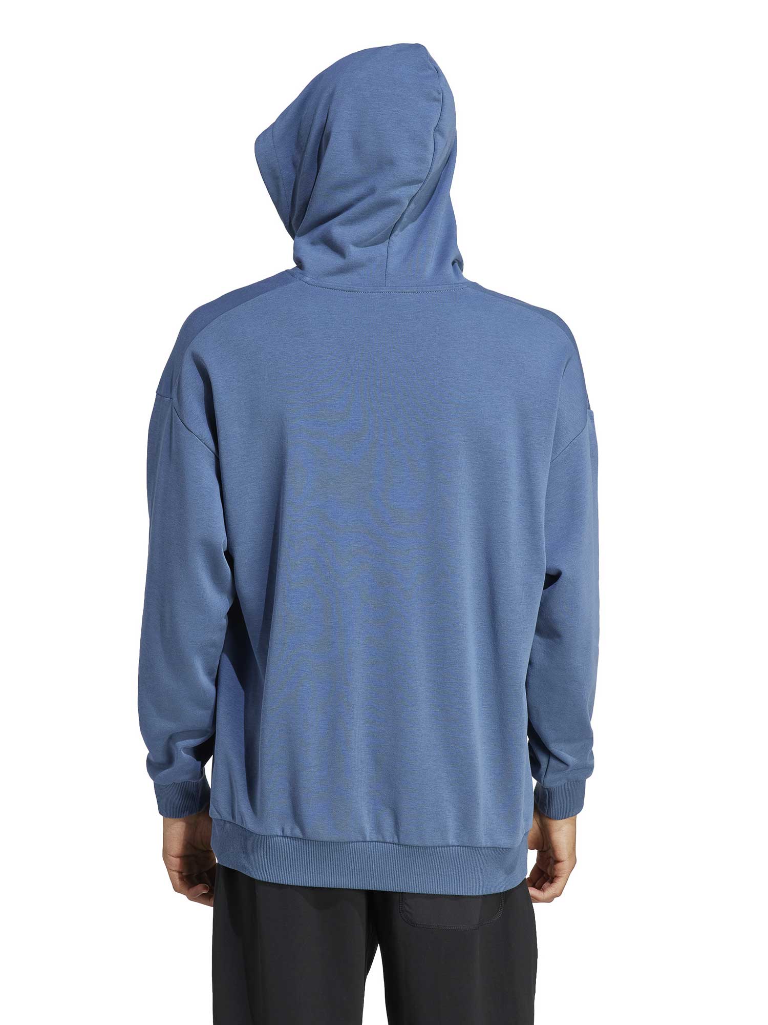 ADIDAS PERFORMANCE Суитшърт Terrex Large Logo (Gender Neutral)