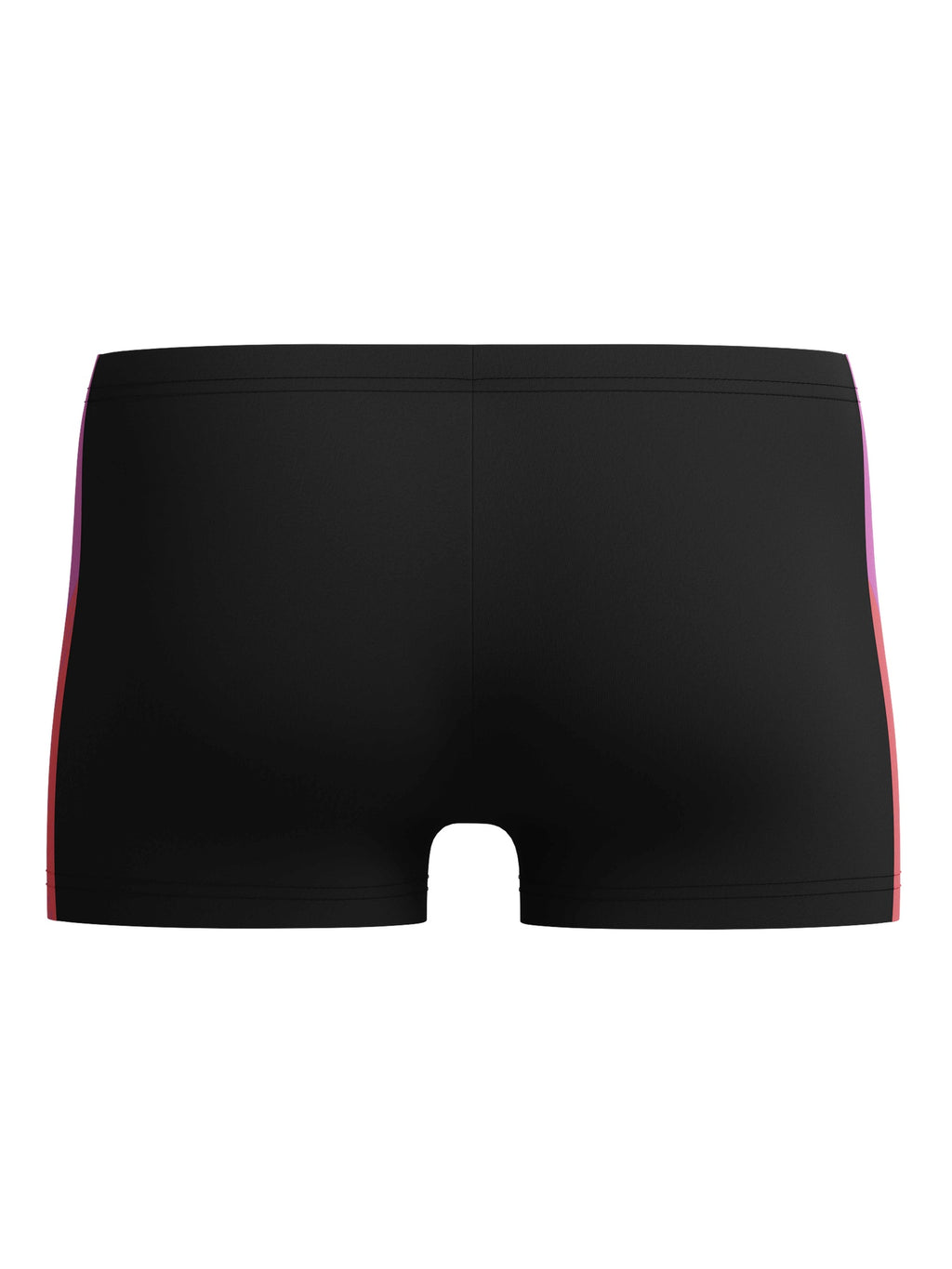 SPEEDO Бански MENS DIVE AQUASHORT