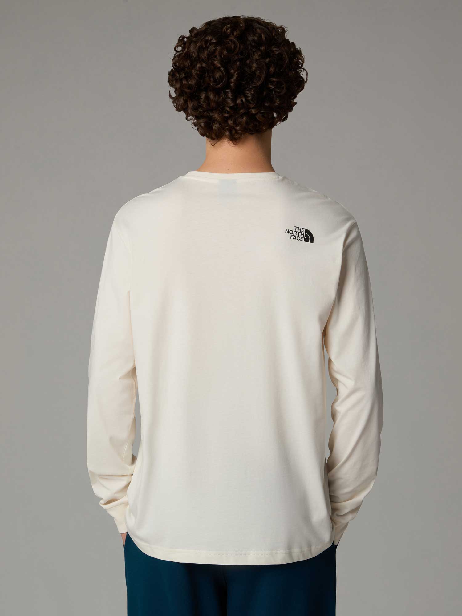 THE NORTH FACE Блуза M L/S TEE VARSITY GRAPHIC