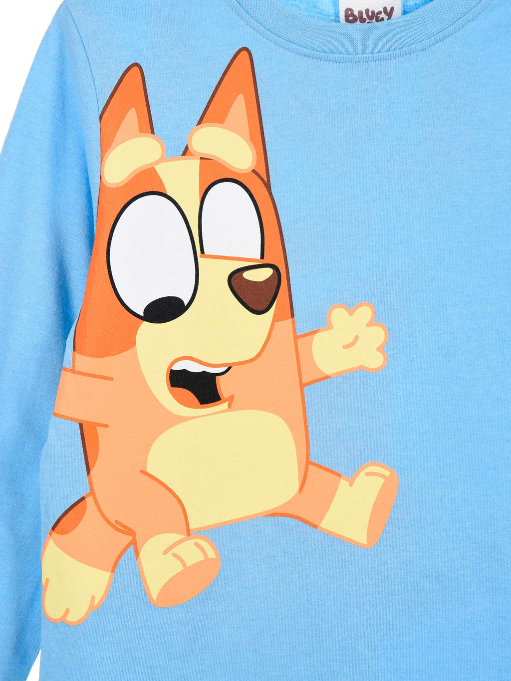 KIDS MOVIE HEROES Блуза Bluey