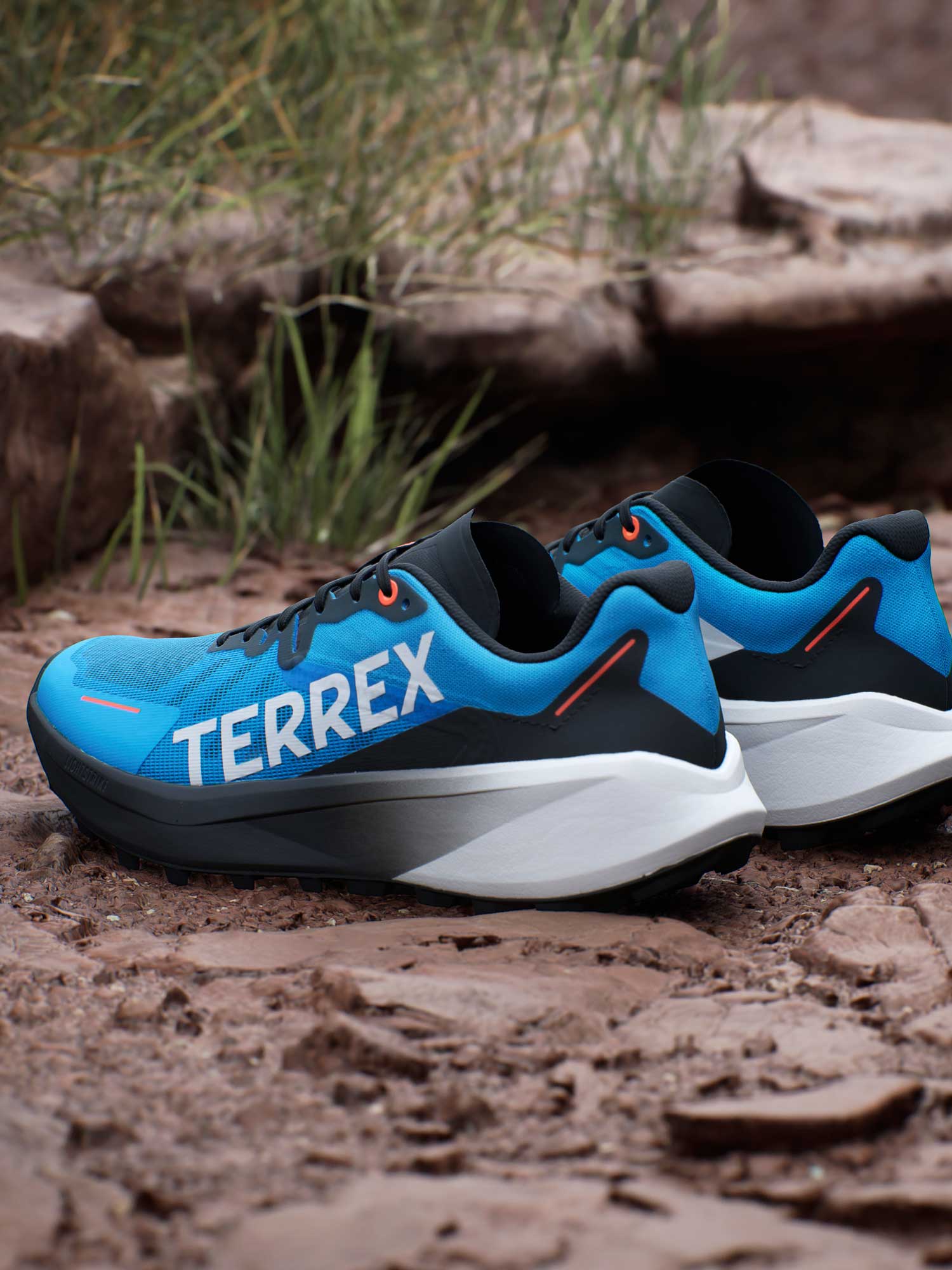 ADIDAS PERFORMANCE Обувки Terrex Agravic 3 Trail Running